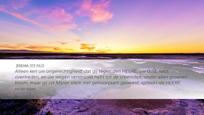 Jeremia 3:13 NLD Bible Verse Image