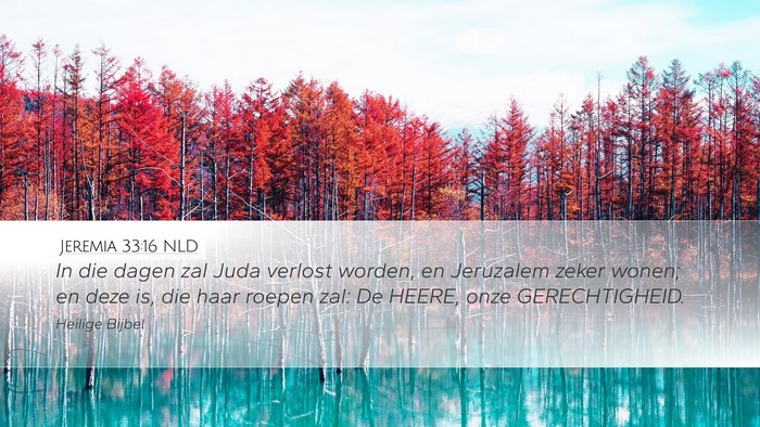 Jeremia 33:16 NLD Bible Verse Image