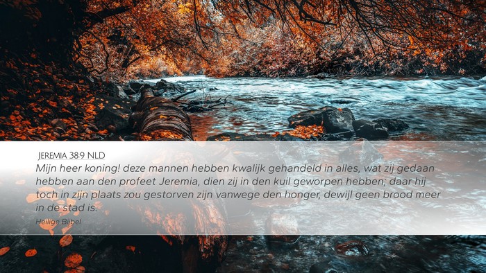 Jeremia 38:9 NLD Bible Verse Image