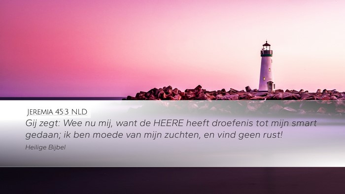 Jeremia 45:3 NLD Desktop Wallpaper - Gij zegt: Wee nu mij, want de HEERE heeft - Desktop Bible Verse Wallpaper