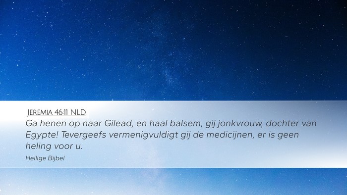 Jeremia 46:11 NLD Bible Verse Image