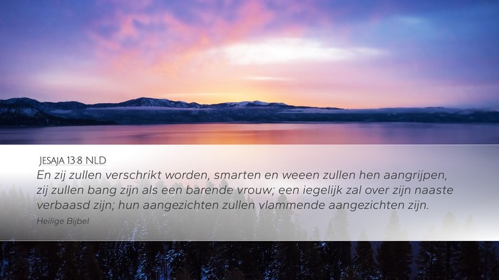 Jesaja 13:8 NLD Bible Verse Image