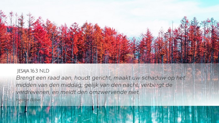 Jesaja 16:3 NLD Bible Verse Image