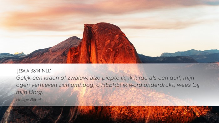 Jesaja 38:14 NLD Bible Verse Image