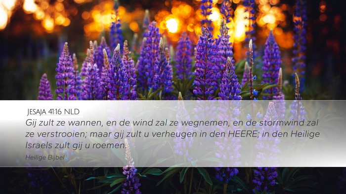 Jesaja 41:16 NLD Bible Verse Image