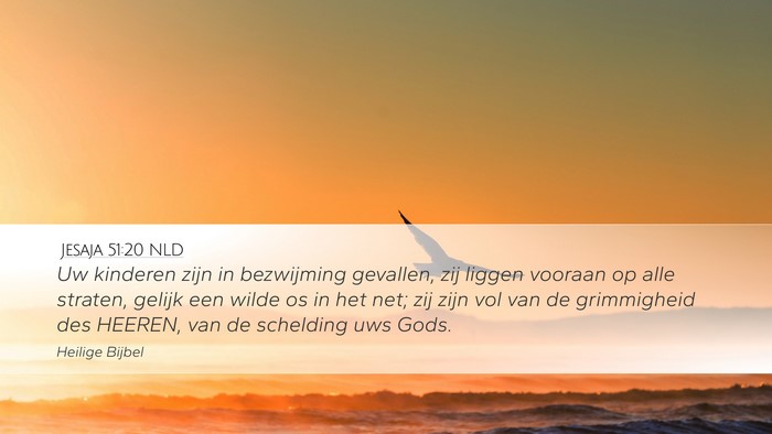 Jesaja 51:20 NLD Bible Verse Image