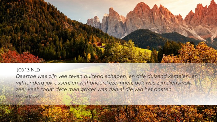 Job 1:3 NLD Bible Verse Image