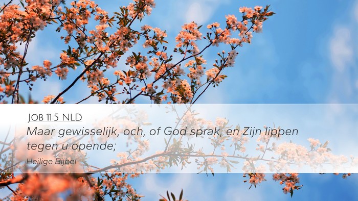 Job 11:5 NLD Bible Verse Image