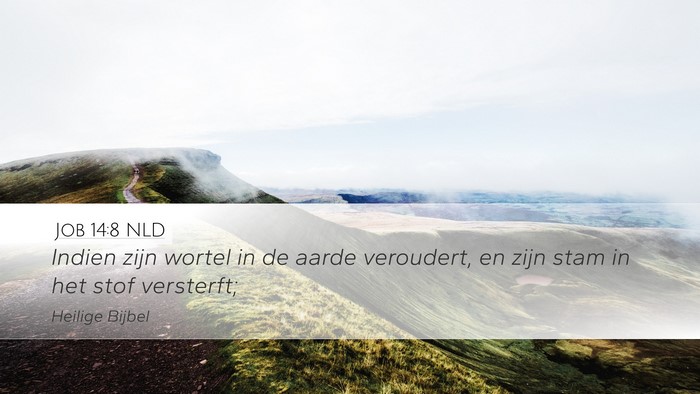 Job 14:8 NLD Desktop Wallpaper - Indien zijn wortel in de aarde veroudert, en zijn - Desktop Bible Verse Wallpaper