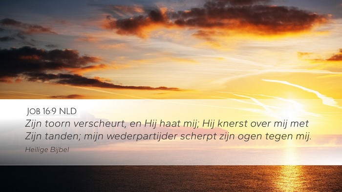 Job 16:9 NLD Bible Verse Image