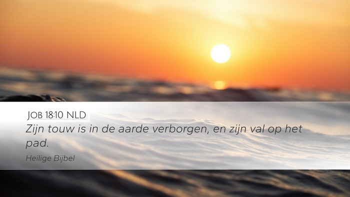 Job 18:10 NLD Desktop Wallpaper - Zijn touw is in de aarde verborgen, en zijn val - Desktop Bible Verse Wallpaper