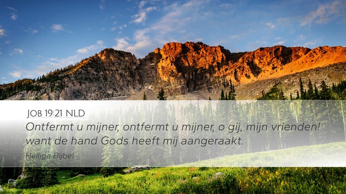 Job 19:21 NLD Bible Verse Image