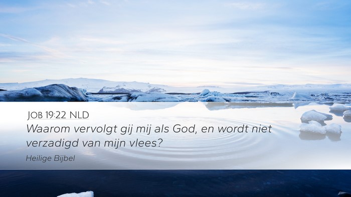 Job 19:22 NLD Bible Verse Image