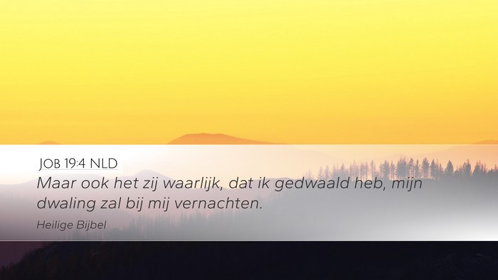 Job 19:4 NLD Desktop Wallpaper - Maar ook het zij waarlijk, dat ik gedwaald heb, - Desktop Bible Verse Wallpaper