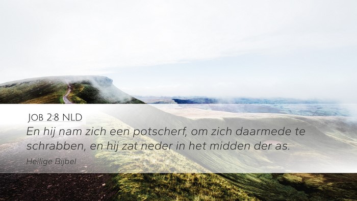 Job 2:8 NLD Bible Verse Image