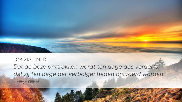 Job 21:30 NLD Bible Verse Image