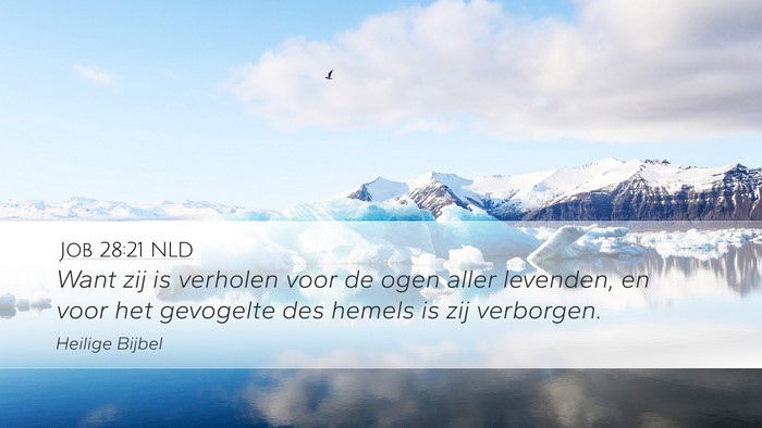Job 28:21 NLD Desktop Wallpaper - Want zij is verholen voor de ogen aller levenden, - Desktop Bible Verse Wallpaper