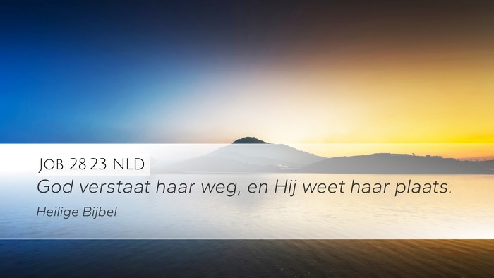 Job 28:23 NLD Desktop Wallpaper - God verstaat haar weg, en Hij weet haar - Desktop Bible Verse Wallpaper