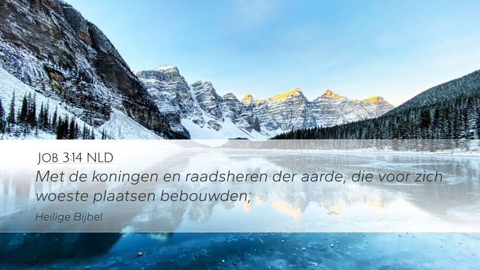 Job 3:14 NLD Bible Verse Image