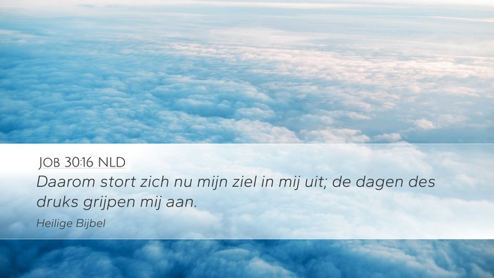 Job 30:16 NLD Bible Verse Image