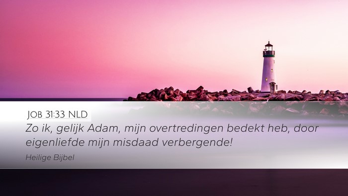 Job 31:33 NLD Bible Verse Image