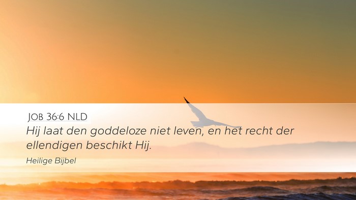 Job 36:6 NLD Desktop Wallpaper - Hij laat den goddeloze niet leven, en het recht - Desktop Bible Verse Wallpaper