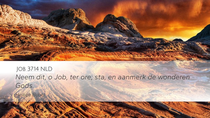 Job 37:14 NLD Bible Verse Image