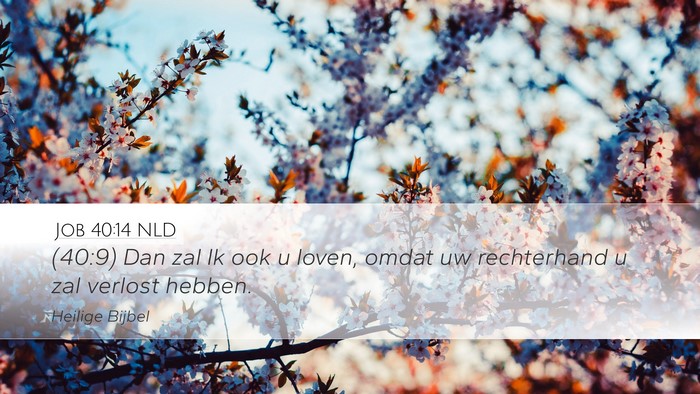 Job 40:14 NLD Desktop Wallpaper - (40:9) Dan zal Ik ook u loven, omdat uw - Desktop Bible Verse Wallpaper