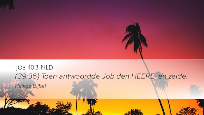 Job 40:3 NLD Desktop Wallpaper - (39:36) Toen antwoordde Job den HEERE, en - Desktop Bible Verse Wallpaper