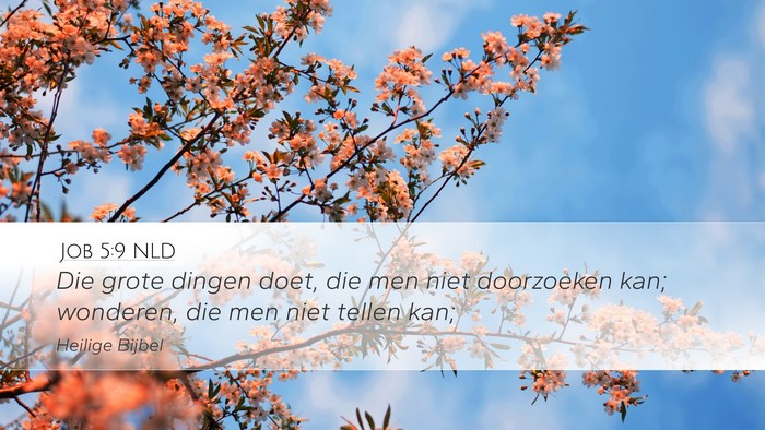 Job 5:9 NLD Bible Verse Image