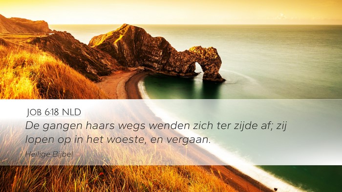 Job 6:18 NLD Bible Verse Image