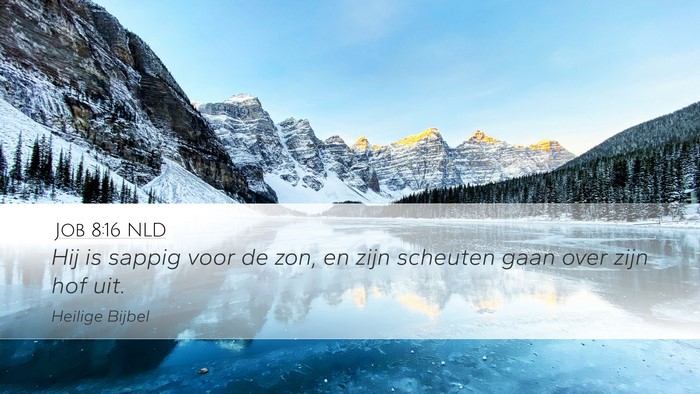 Job 8:16 NLD Bible Verse Image