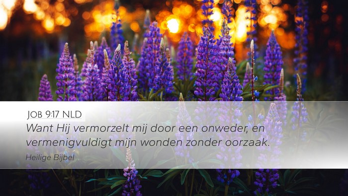 Job 9:17 NLD Bible Verse Image