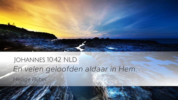 Johannes 10:42 NLD Bible Verse Image