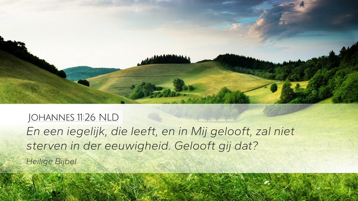 Johannes 11:26 NLD Bible Verse Image