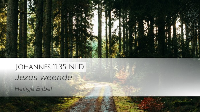 Johannes 11:35 NLD Desktop Wallpaper - Jezus - Desktop Bible Verse Wallpaper