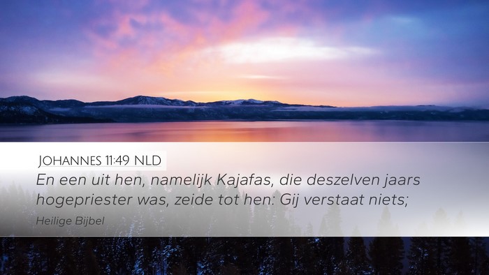 Johannes 11:49 NLD Desktop Wallpaper - En een uit hen, namelijk Kajafas, die deszelven - Desktop Bible Verse Wallpaper