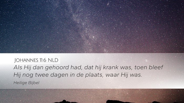 Johannes 11:6 NLD Desktop Wallpaper - Als Hij dan gehoord had, dat hij krank was, toen - Desktop Bible Verse Wallpaper