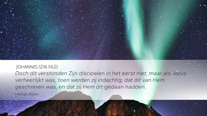 Johannes 12:16 NLD Bible Verse Image