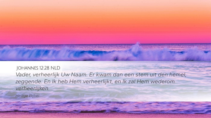 Johannes 12:28 NLD Bible Verse Image