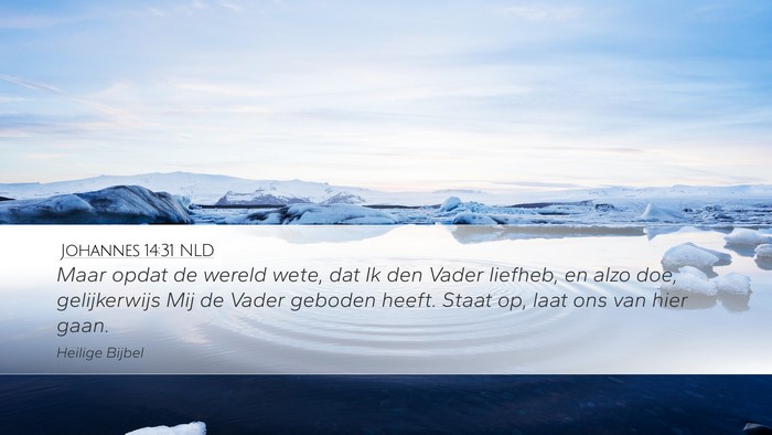 Johannes 14:31 NLD Bible Verse Image
