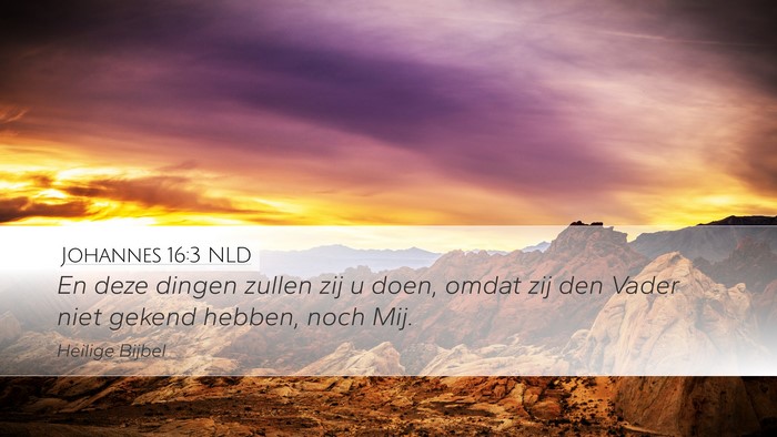 Johannes 16:3 NLD Bible Verse Image