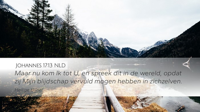 Johannes 17:13 NLD Bible Verse Image