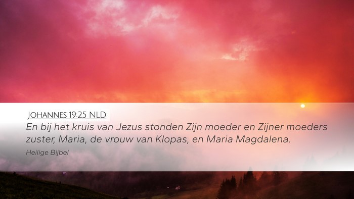 Johannes 19:25 NLD Bible Verse Image