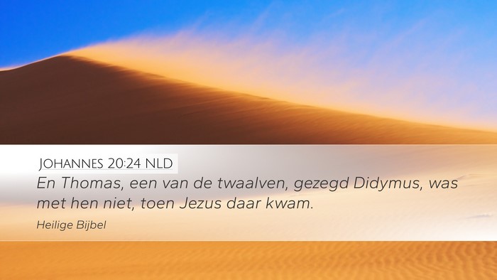 Johannes 20:24 NLD Desktop Wallpaper - En Thomas, een van de twaalven, gezegd Didymus, - Desktop Bible Verse Wallpaper