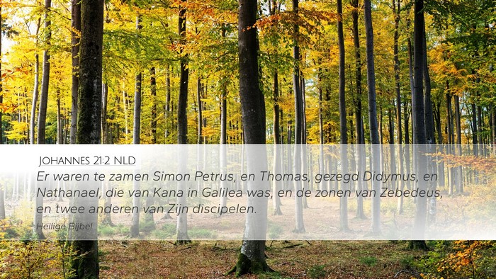 Johannes 21:2 NLD Bible Verse Image