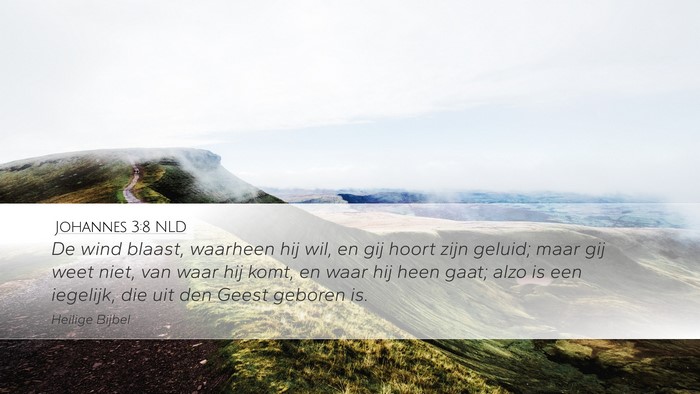 Johannes 3:8 NLD Desktop Wallpaper - De wind blaast, waarheen hij wil, en gij hoort - Desktop Bible Verse Wallpaper