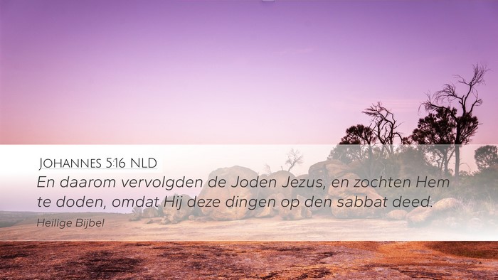 Johannes 5:16 NLD Bible Verse Image