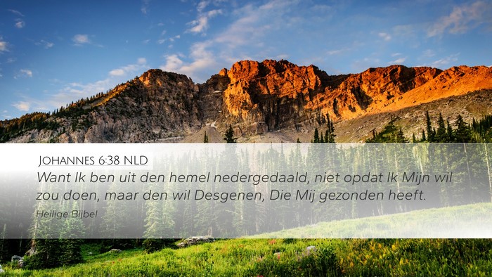 Johannes 6:38 NLD Bible Verse Image