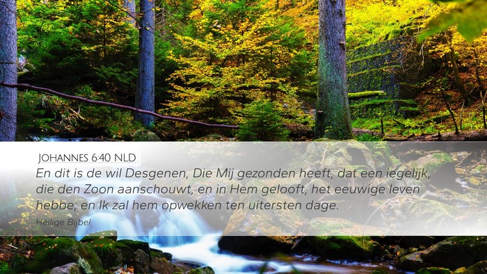 Johannes 6:40 NLD Bible Verse Image